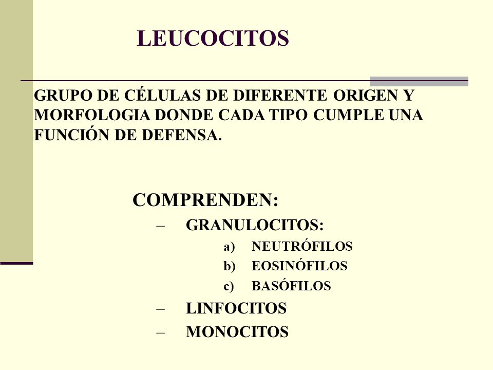 leucocitos que liberan gránulos que matan las infecciones parasitarias leucocitos que liberan gránulos que matan las infecciones parasitarias